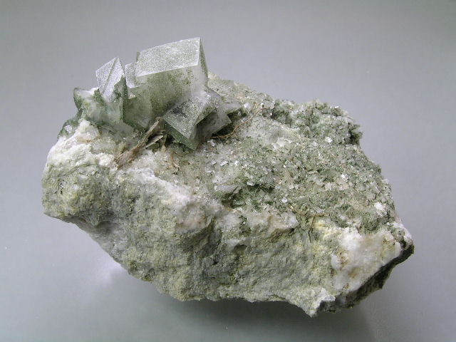 tw sil001.jpg
